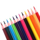 Карандаши 12 цветов ErichKrause Safari, дерево, трехгранные, с европодвесом - фото 24076340