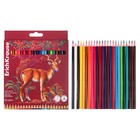 Карандаши цветные 24 цвета ErichKrause Safari, дерево, трёхгранные, с европодвесом - Фото 2