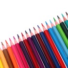 Карандаши цветные 24 цвета ErichKrause Safari, дерево, трёхгранные, с европодвесом - Фото 4