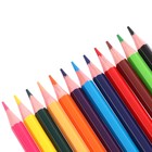 Карандаши акварельные 12 цветов ErichKrause Jolly Friends, дерево, шестигранные с кисточкой, европодвес - Фото 4