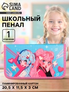 Пенал школьный, 1 секция, 11.5×20.5×3 см «Аниме подружки» - Фото 1