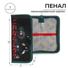 Пенал школьный, 1 секция, 9×19.5×2.5 см «Аниме боец» - Фото 1