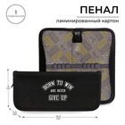 Пенал школьный, 1 секция, 9×19.5×2.5 см «Победитель» - Фото 1