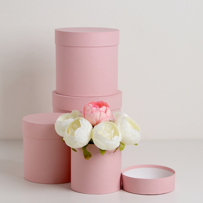Набор шляпных коробок  4 в 1 "Нежно-розовый", 20 × 20 ‒13 × 13 см - Фото 1
