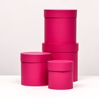 Набор шляпных подарочных коробок 4 в 1 «Малина», 20×20 ‒13×13 см - Фото 3