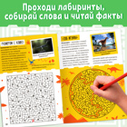 Книга «Лабиринты и факты. Во времена динозавров», 24 стр. - Фото 3