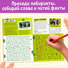 Книга «Лабиринты и факты. По лианам в джунгли», 24 стр. - Фото 3