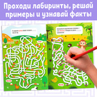 Книга «Математические лабиринты с фактами. Животные», 36 стр. - Фото 3