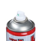 Полироль пластика Plak Ваниль, аэрозоль, 600 мл 10450548