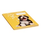 Дневник для музыкальной школы, 48 листов, твёрдая обложка, матовая ламинация, тиснение фольгой, со справочной информацией, блок 60г/м2 - фото 24076859