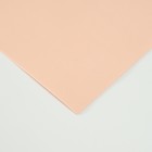 Фоамиран матовый 60х70 см, 1 мм, молочный (комплект 10 шт) - фото 24005404