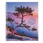 Тетрадь 96 листов в клетку на гребне "Удивительная природа", обложка мелованный картон, блок офсет 60г/м23 - фото 24223585