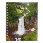 Тетрадь 96 листов в клетку на гребне "Удивительная природа", обложка мелованный картон, блок офсет 60г/м23 - фото 24223586