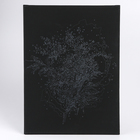 Картина по номерам на черном холсте «Цветы», 30 × 40 см - Фото 3