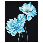 Картина по номерам на черном холсте «Голубые цветы», 40 × 50 см - фото 321515750