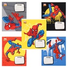 Тетрадь 12 листов в линейку, 5 видов МИКС, обложка мелованный картон, Человек-паук - Фото 3