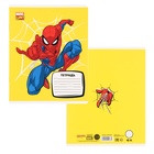 Тетрадь в линейку 12 листов, 5 видов МИКС, обложка мелованный картон, Человек-паук - Фото 8
