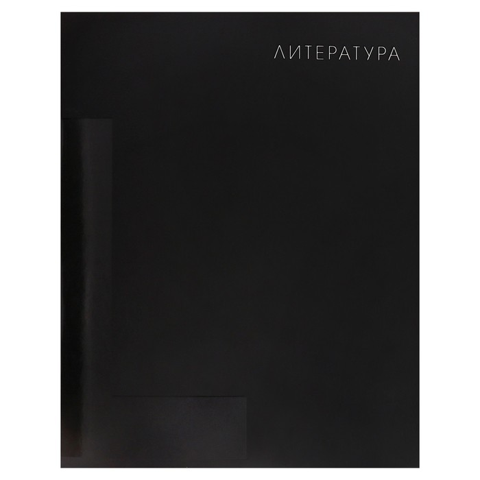 Тетрадь предметная Calligrata TOP "BlackTone", 48 листов в линию Литература, со справочным материалом, обложка мелованный картон, Soft-touch + выборочный лак, блок офсет - Фото 1