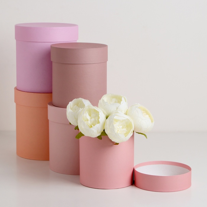 Набор круглых подарочных коробок 5 в 1 «Крема», 20×20×20- 11×11×11 см - Фото 1