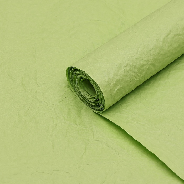 Бумага упаковочная "Эколюкс", МИКС салатовый, 0,67 x 5 м - Фото 1
