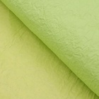 Бумага упаковочная "Эколюкс двухцветная", МИКС салатовый-желтый пастель, 0,68 x 5 м - фото 9744421