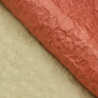 Бумага упаковочная "Эколюкс двухцветная", салатовый-красный, 0,67 x 5 м - фото 9744431