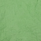 Бумага Эколюкс двухцветная салатовый /тёмно-зеленый 0,67  x 5 м - фото 9744439