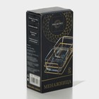УЦЕНКА Менажница стеклянная Magistro «Званый прием», 2 секции, 250 мл, 22.5×10.3×6 см - Фото 7