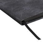 Дневник школьный для 1-11 классов, твёрдая обложка, искусственная кожа, аппликация, блинтовое тиснение, металлические клёпки, шелкография, ляссе, 48 листов, блок 80г/м2, чёрный - фото 24026870