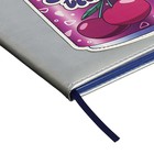 Дневник школьный для 1-11 классов "Вишня", твёрдая обложка с поролоном, искусственная кожа, аппликация, ляссе, 48 листов, ручка в комплекте, блок 70г/м2 - Фото 4