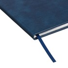 Дневник школьный для 1-11 классов "Российского школьника", твёрдая обложка, искусственная кожа, тиснение фольгой, 3D-дизайн, ляссе, 48 листов, универсальная шпаргалка, блок 80г/м2 - фото 24026906