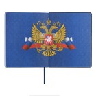 Дневник школьный для 1-11 классов "Российского школьника", твёрдая обложка, искусственная кожа, тиснение фольгой, 3D-дизайн, ляссе, 48 листов, универсальная шпаргалка, блок 80г/м2 - фото 24026933