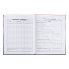 Дневник школьный для 1-11 классов, 48 листов "Алиса", твёрдая обложка, выборочный перламутровый лак, тиснение фольгой, матовая ламинация, универсальная шпаргалка, блок 65г/м2 - фото 24554130