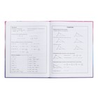 Дневник школьный для 1-11 классов, 48 листов "Алиса", твёрдая обложка, выборочный перламутровый лак, тиснение фольгой, матовая ламинация, универсальная шпаргалка, блок 65г/м2 - фото 24554131