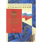 Подробный иллюстрированный комментарий к Конституции РФ. Бурданова А.С. - фото 300908687