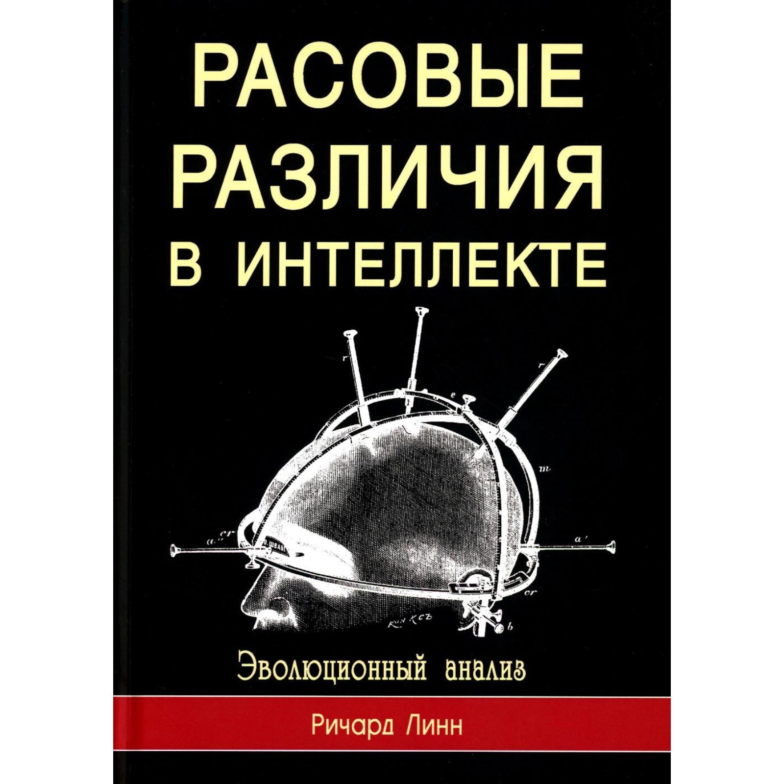 Расовый интеллект. Расовые различия в интеллекте. Негроид и монголоид. Разные лица людей. Цвет кожи европейцев.