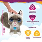 Интерактивная игрушка «Кошка на поводке», 22 см - фото 9666710