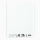 Дневник школьный 1-11 класс, в мягкой обложке, 40 л «Классический» - Фото 9