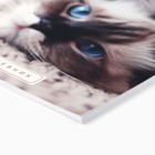 Дневник школьный 1-11 класс, в мягкой обложке, 40 л «Кошка» - Фото 2