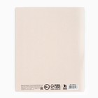 Дневник школьный 1-11 класс, в мягкой обложке, 40 л «Кошка» - Фото 9