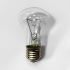 Лампа накаливания КЭЛЗ, E27, 25 Вт, 230 лм - фото 4325940