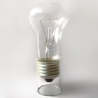 Лампа накаливания Лисма, E27, 40 Вт, 580 лм - фото 4325943