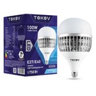 Лампа светодиодная Tokov Electric, E40/E27, 100 Вт, 6500 К, свечение холодное белое - фото 4325955