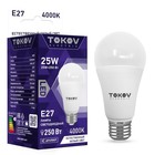 Лампа светодиодная Tokov Electric, E27, 25 Вт, 4000 К, свечение белое 10501843 - фото 3448295