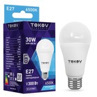 Лампа светодиодная Tokov Electric, E27, 30 Вт, 6500 К, свечение холодное белое - фото 304942773