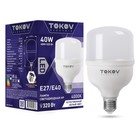 Лампа светодиодная Tokov Electric, E40/E27, 40 Вт, 4000 К, свечение белое - фото 304942778