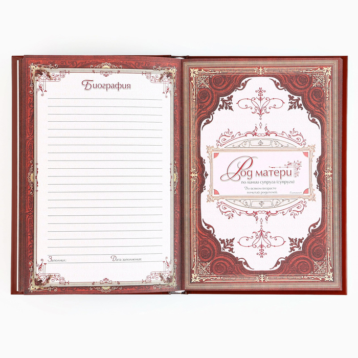 Новогодняя родословная книга «Новый год: Каждый день» 17 х 2 х 23,7 см 9867076