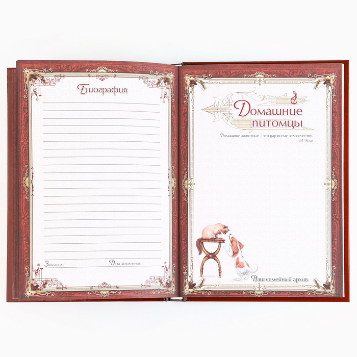 Новогодняя родословная книга «Новый год: Каждый день» 17 х 2 х 23,7 см 9867076