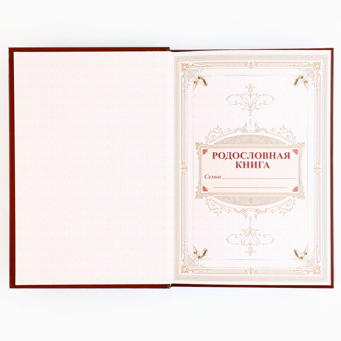 Новогодняя родословная книга «Новый год: Каждый день» 17 х 2 х 23,7 см 9867076