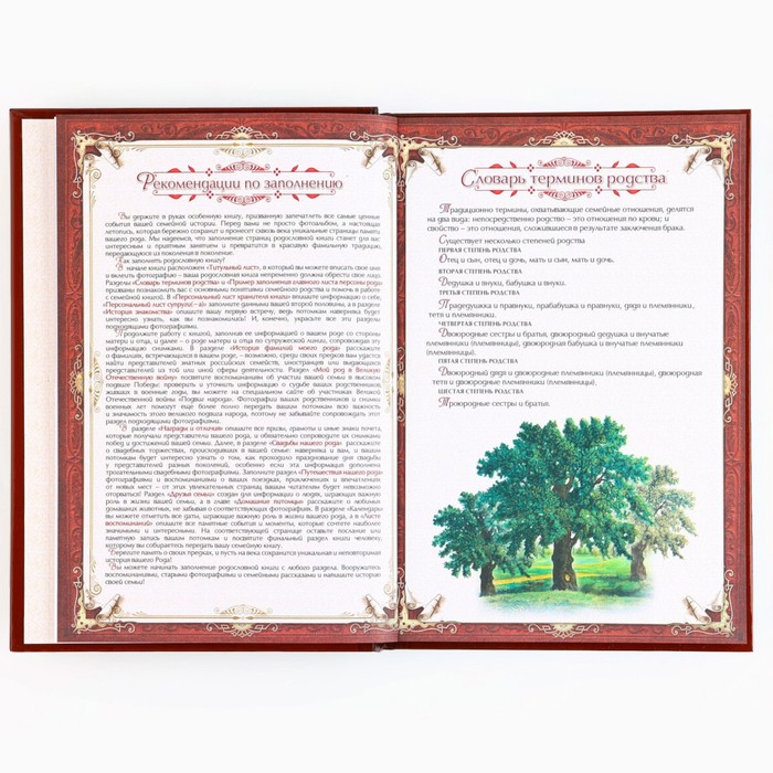 Новогодняя родословная книга «Новый год: Каждый день» 17 х 2 х 23,7 см 9867076